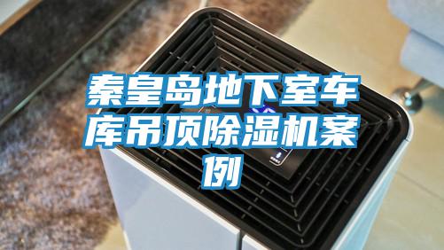 秦皇島地下室車庫(kù)吊頂除濕機(jī)案例