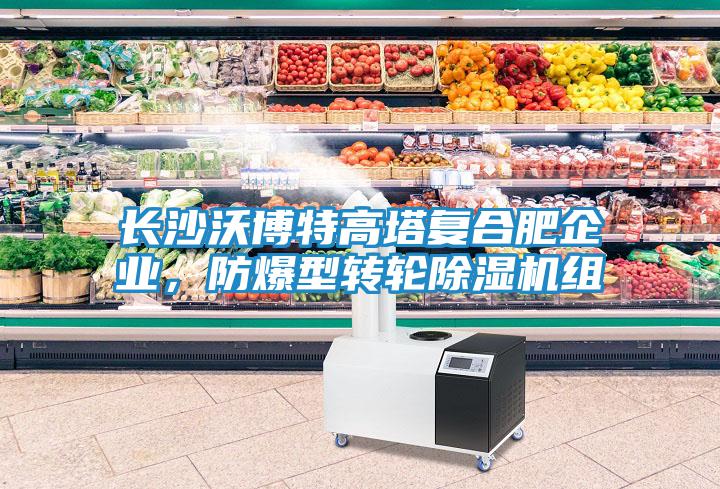 長(zhǎng)沙沃博特高塔復(fù)合肥企業(yè)，防爆型轉(zhuǎn)輪除濕機(jī)組