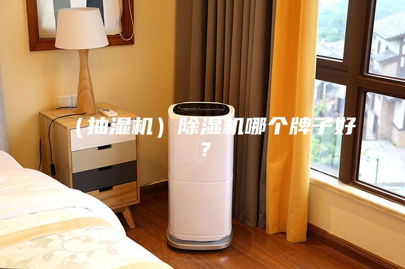 （抽濕機(jī)）除濕機(jī)哪個(gè)牌子好？