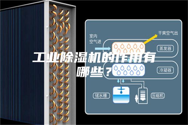 工業(yè)除濕機(jī)的作用有哪些？