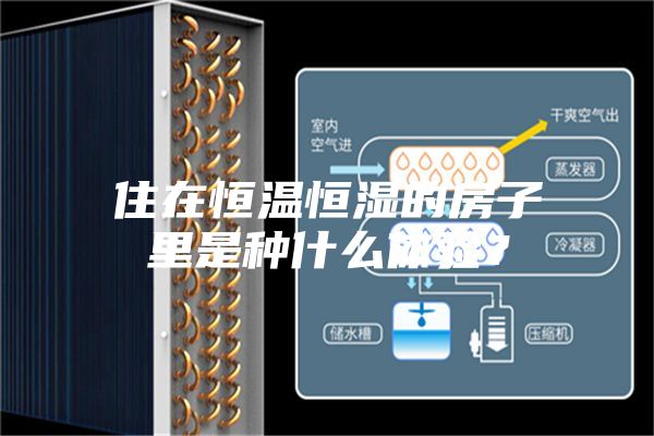 住在恒溫恒濕的房子里是種什么體驗？