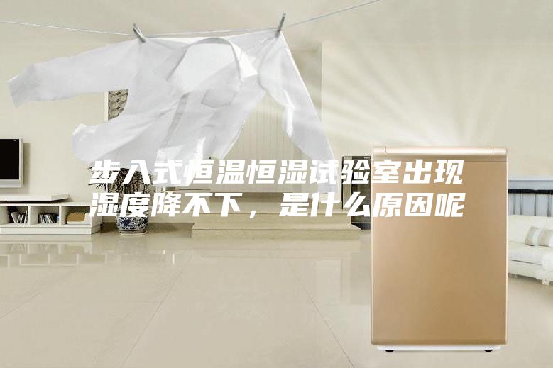 步入式恒溫恒濕試驗(yàn)室出現(xiàn)濕度降不下，是什么原因呢
