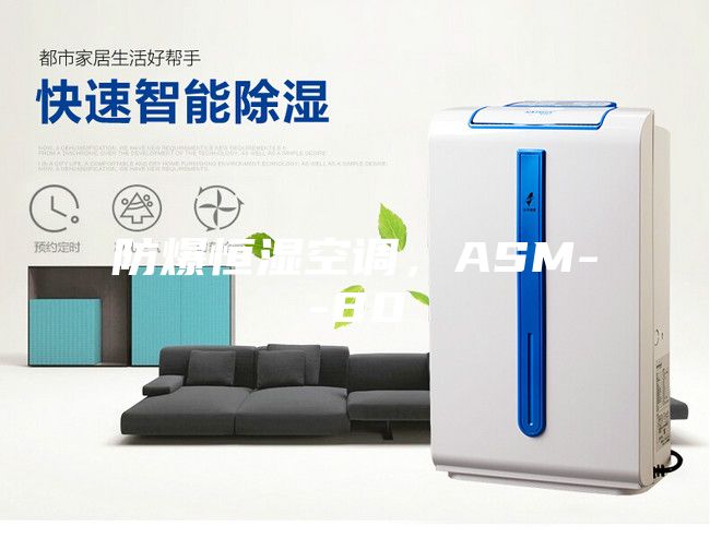 防爆恒濕空調(diào)，ASM--80