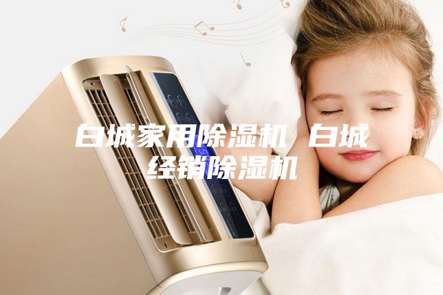 白城家用除濕機 白城經(jīng)銷除濕機