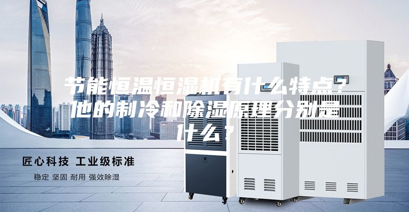 節(jié)能恒溫恒濕機有什么特點？他的制冷和除濕原理分別是什么？