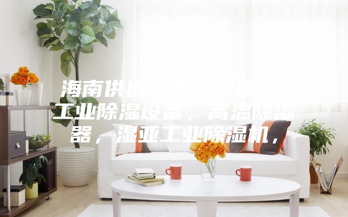 海南供應(yīng)耐高溫除濕機(jī)，工業(yè)除濕設(shè)備，高溫除濕器，濕亞工業(yè)除濕機(jī)，