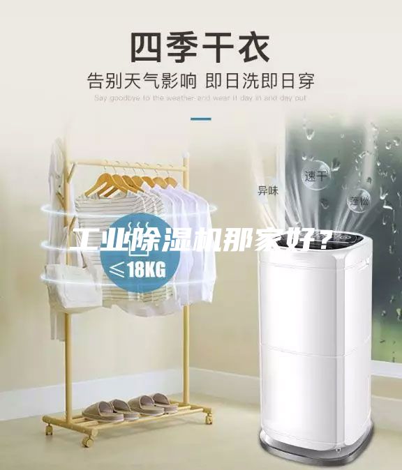 工業(yè)除濕機(jī)那家好？