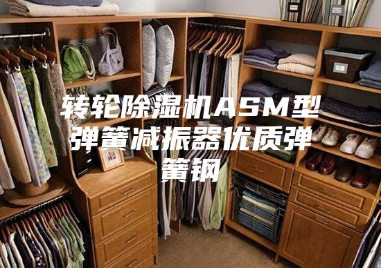 轉輪除濕機ASM型彈簧減振器優(yōu)質彈簧鋼