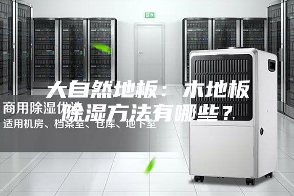 大自然地板：木地板除濕方法有哪些？