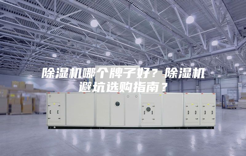 除濕機(jī)哪個(gè)牌子好？除濕機(jī)避坑選購(gòu)指南？