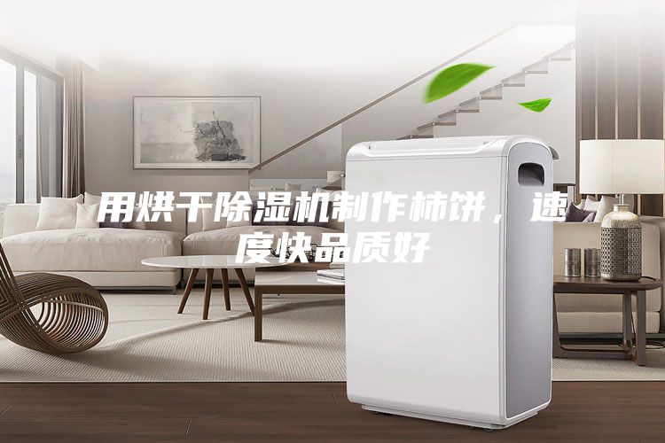用烘干除濕機制作柿餅，速度快品質(zhì)好
