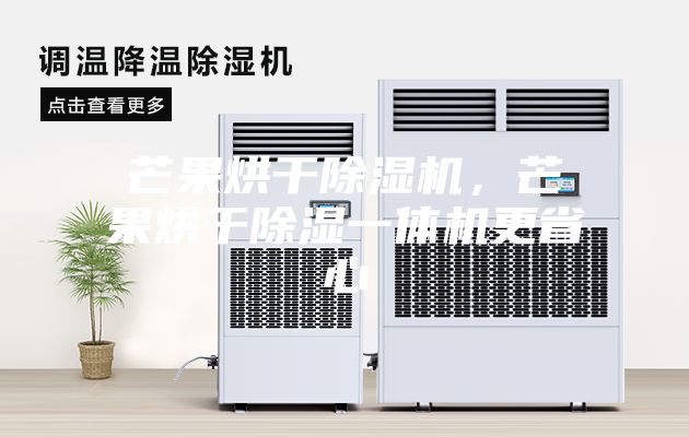 芒果烘干除濕機(jī)，芒果烘干除濕一體機(jī)更省心