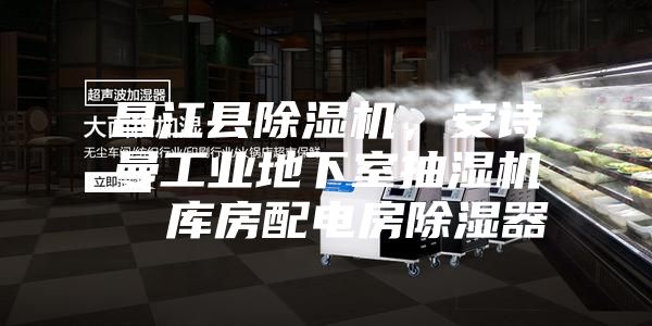 昌江縣除濕機(jī)，安詩曼工業(yè)地下室抽濕機(jī)  庫房配電房除濕器