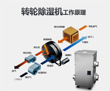 潮濕危害真不小，用除濕機真見效