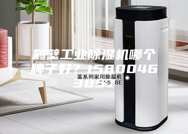 鶴壁工業(yè)除濕機哪個牌子好？15800463857