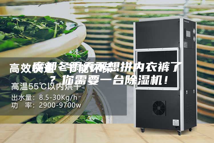 魔都冬雨天不想拼內(nèi)衣褲了？你需要一臺除濕機！