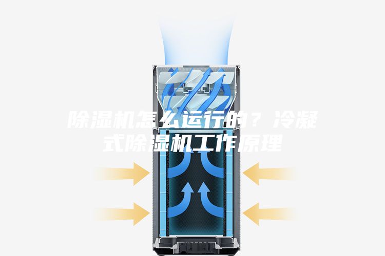 除濕機怎么運行的？冷凝式除濕機工作原理