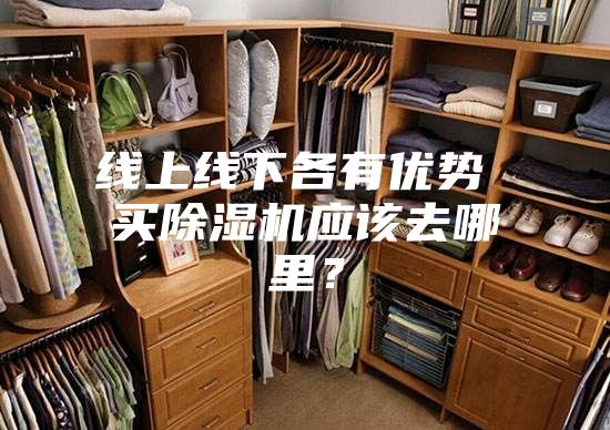 線上線下各有優(yōu)勢(shì) 買(mǎi)除濕機(jī)應(yīng)該去哪里？