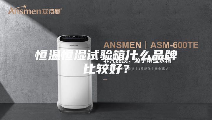 恒溫恒濕試驗箱什么品牌比較好？