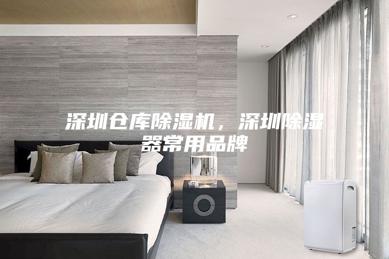 深圳倉(cāng)庫(kù)除濕機(jī)，深圳除濕器常用品牌