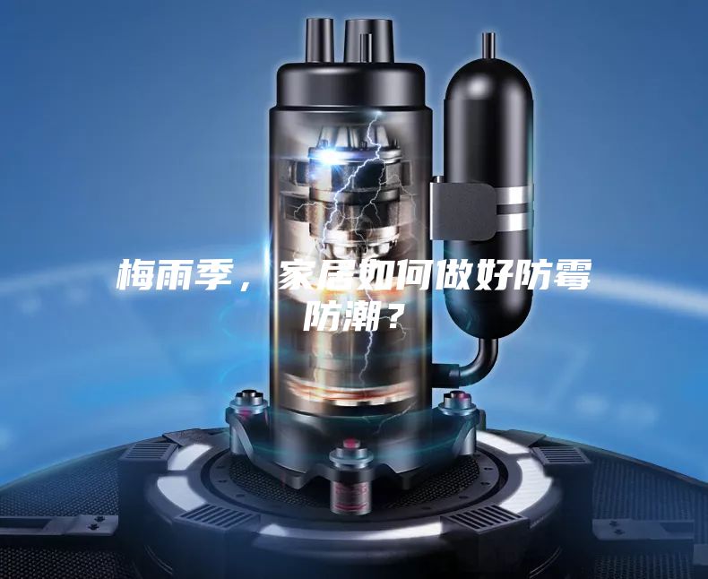 梅雨季，家居如何做好防霉防潮？
