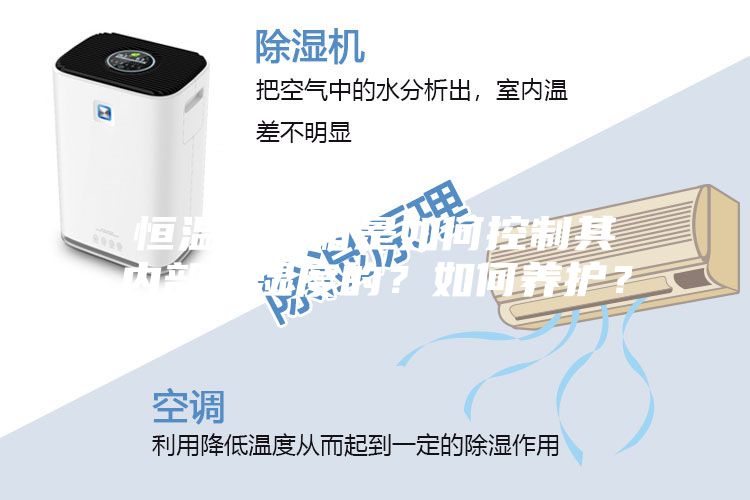 恒溫恒濕箱是如何控制其內部溫濕度的？如何養(yǎng)護？
