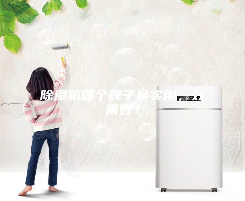 除濕機(jī)哪個(gè)牌子最實(shí)用，效果好？