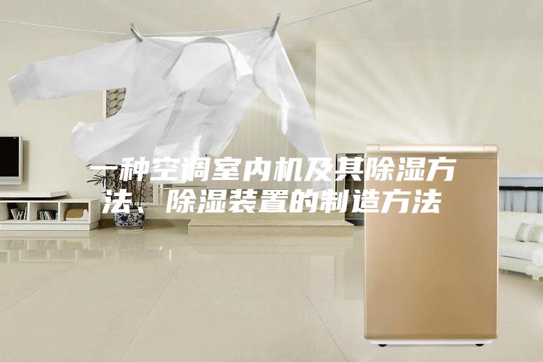 一種空調(diào)室內(nèi)機(jī)及其除濕方法、除濕裝置的制造方法