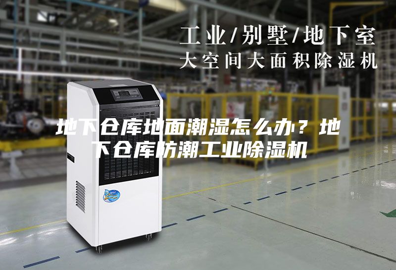 地下倉庫地面潮濕怎么辦？地下倉庫防潮工業(yè)除濕機(jī)