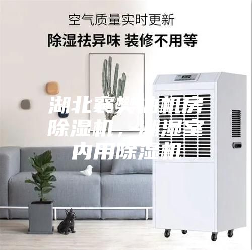 湖北襄樊油機(jī)房除濕機(jī)，潮濕室內(nèi)用除濕機(jī)