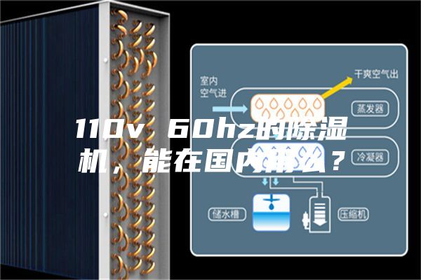 110v 60hz的除濕機(jī)，能在國(guó)內(nèi)用么？