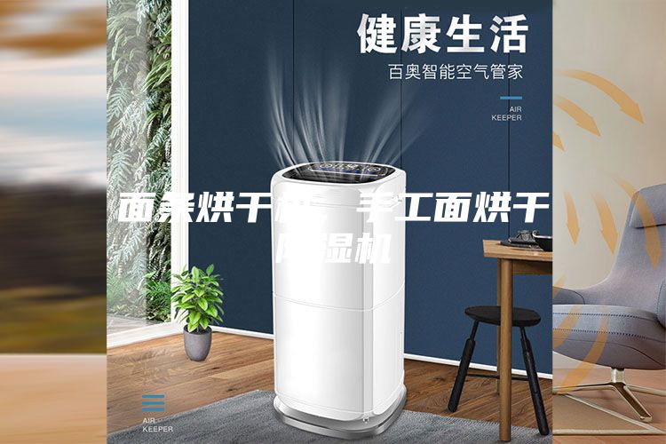 面條烘干機(jī)，手工面烘干除濕機(jī)