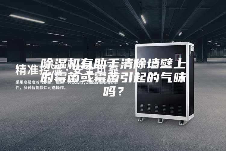 除濕機(jī)有助于清除墻壁上的霉菌或霉菌引起的氣味嗎？