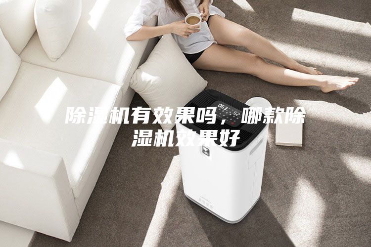 除濕機有效果嗎，哪款除濕機效果好
