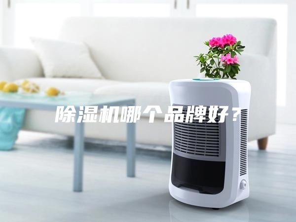除濕機(jī)哪個(gè)品牌好？