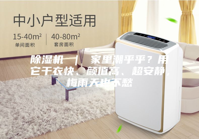除濕機(jī) ｜ 家里潮乎乎？用它干衣快、顏值高、超安靜，梅雨天也不愁