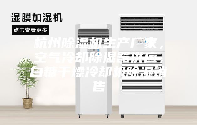 杭州除濕機(jī)生產(chǎn)廠家，空氣冷卻除濕器供應(yīng)，白糖干燥冷卻機(jī)除濕銷售