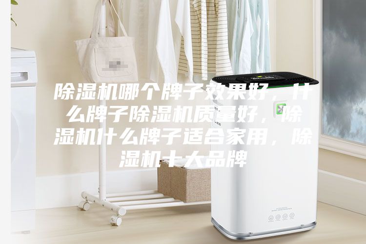 除濕機(jī)哪個牌子效果好，什么牌子除濕機(jī)質(zhì)量好，除濕機(jī)什么牌子適合家用，除濕機(jī)十大品牌