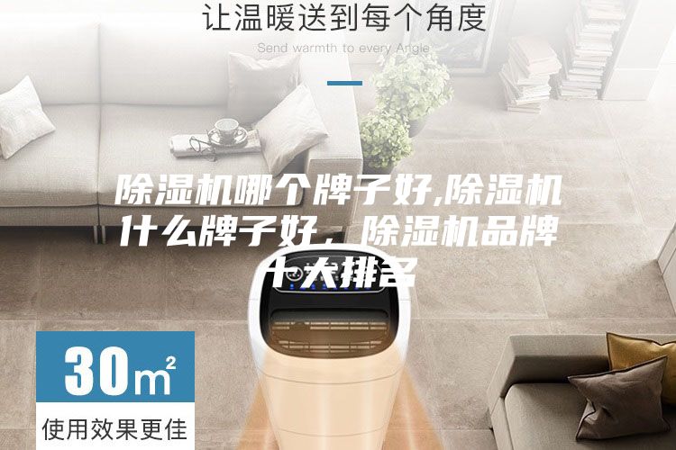 除濕機哪個牌子好,除濕機什么牌子好，除濕機品牌十大排名