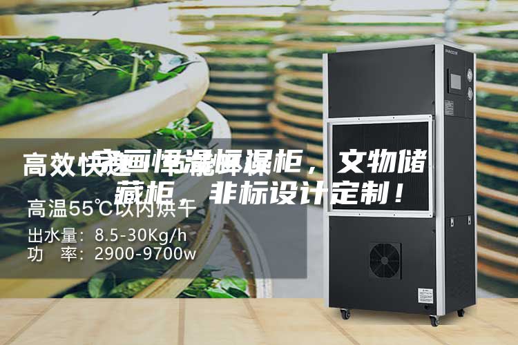 字畫(huà)恒溫恒濕柜，文物儲(chǔ)藏柜，非標(biāo)設(shè)計(jì)定制！
