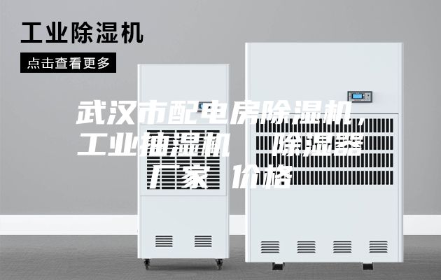 武漢市配電房除濕機(jī)，工業(yè)抽濕機(jī)  除濕器廠家 價(jià)格