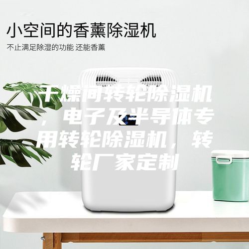 干燥間轉輪除濕機，電子及半導體專用轉輪除濕機，轉輪廠家定制