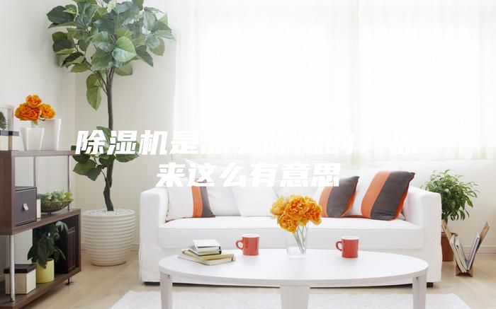 除濕機是怎么除濕的？原來這么有意思