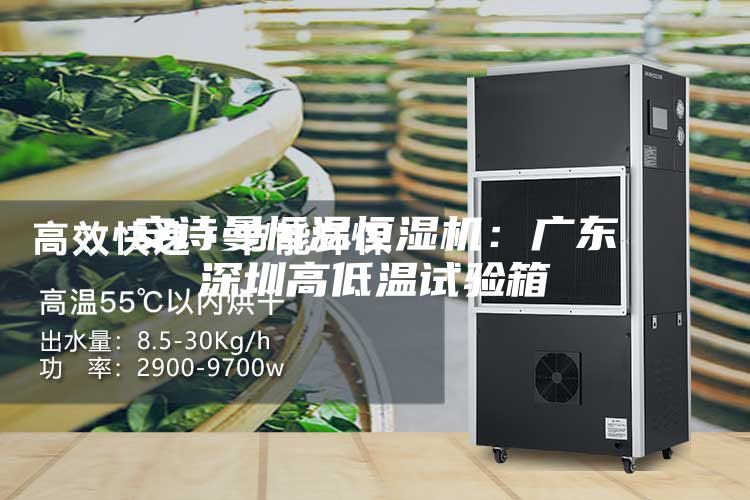 安詩曼恒溫恒濕機(jī)：廣東深圳高低溫試驗箱