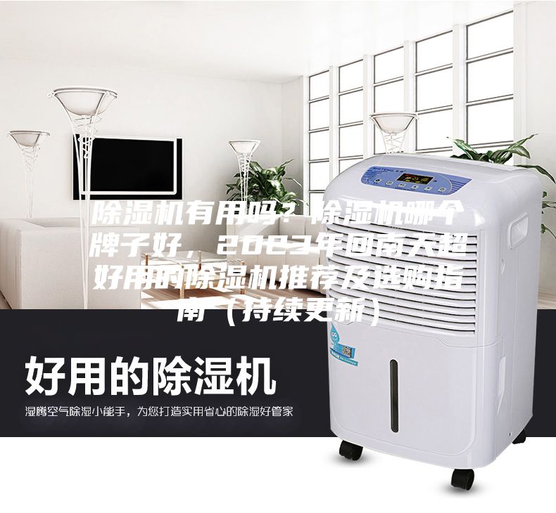 除濕機有用嗎？除濕機哪個牌子好，2023年回南天超好用的除濕機推薦及選購指南（持續(xù)更新）