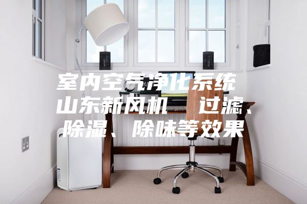 室內(nèi)空氣凈化系統(tǒng) 山東新風(fēng)機(jī)  過濾、除濕、除味等效果