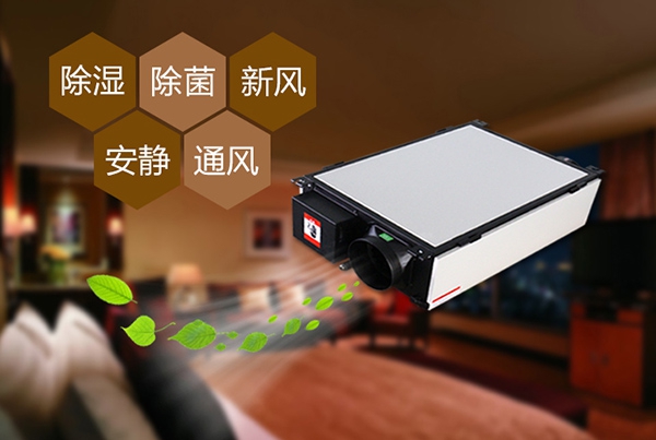 出梅？再等等，在家該如何防潮除濕？