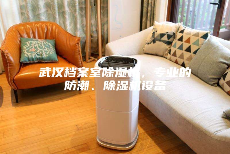 武漢檔案室除濕機(jī)，專業(yè)的防潮、除濕機(jī)設(shè)備