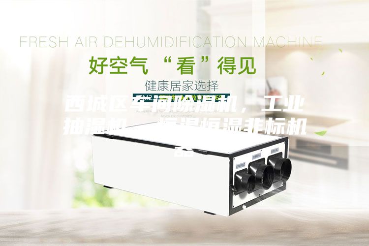 西城區(qū)車間除濕機，工業(yè)抽濕機  恒溫恒濕非標(biāo)機器