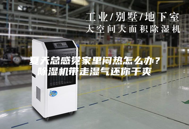 夏天總感覺家里悶熱怎么辦？除濕機(jī)帶走濕氣還你干爽